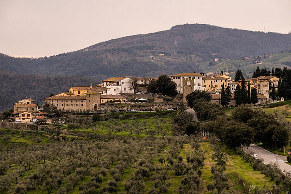 DSCF1905