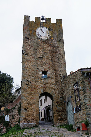 DSCF2313