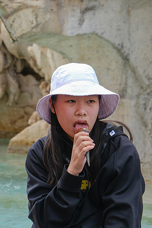 DXT50518