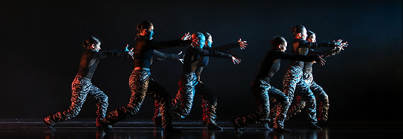 933A8499